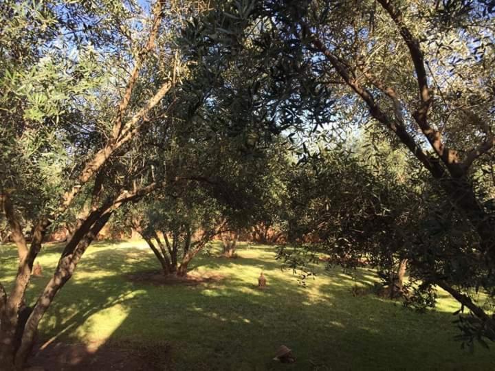 Riad Sidi Hicham Ouled Bouzid Exterior photo